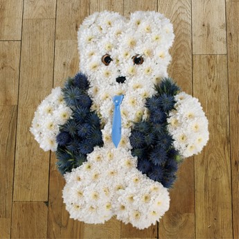 Boy Teddy