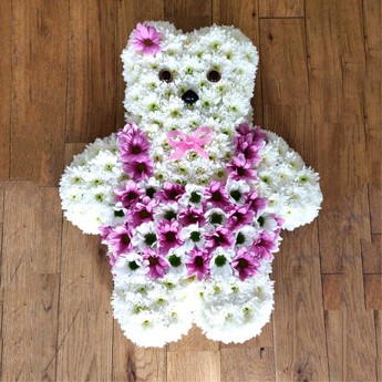 Girl Teddy