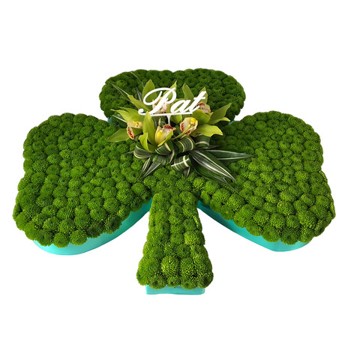 Shamrock